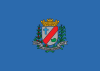 Flag of São Joaquim da Barra