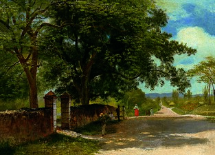 Street in Nassau, 1877