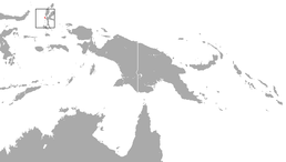 Мапа проживання виду Phalanger matabiru
