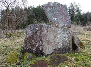 Bornöstenen Sö 303.