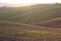 Collines au coucher du soleil.jpg