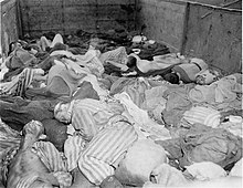 The Dachau death train consisted of nearly forty railcars containing the bodies of between 2,000 and 3,000 prisoners who were evacuated from Buchenwald on 7 April 1945. Dachau Death Train.jpeg