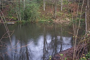 English: Frogs Hole Lane Pond This pond may be...