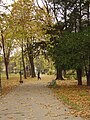 Le parc en automne