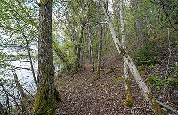 Sjöstigen går längs Lilla Ullfjärden.