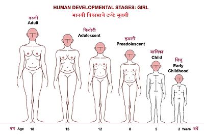 शिशुवयापासून तारुण्यापर्यत मुलीच्या वाढ व विकासाच्या टप्प्यांच्या प्रातिनिधिक आकृत्या.