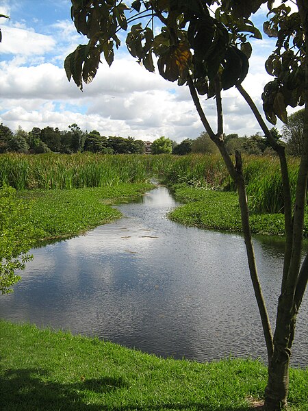 Humedal Santa María del Lago, (Colombia)