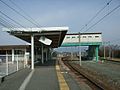 A view of the station platforms and tracks.