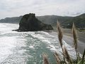 Lion Rock, Piha.jpg