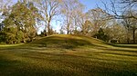 Midden at LSU Hilltop Arboretum.jpg