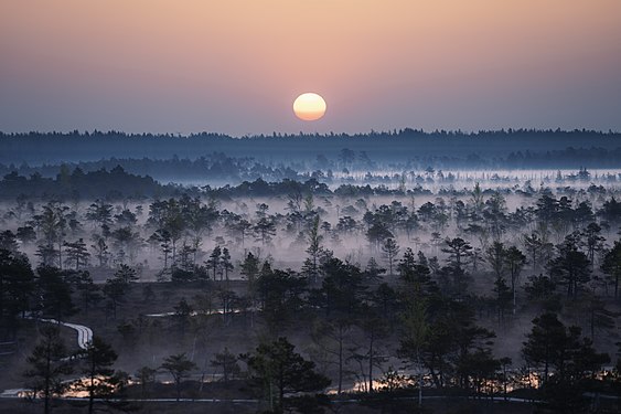 Nationaal park Ķemeri, Letland Foto van VolodyaV