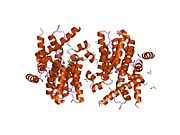 1y2b: Catalytic Domain Of Human Phosphodiesterase 4D In Complex With 3,5-dimethyl-1H-pyrazole-4-carboxylic acid ethyl ester