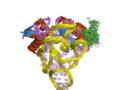 Miniatura para Peptidil transferasa