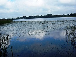 Vaizdas nuo Vinco Kudirkos sodybos pakrantės