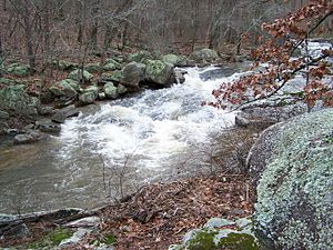 English: Pickle Creek at Hawn State Park in St...