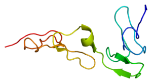 Protein PROS1 PDB 1z6c.png