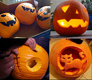 Zapallo de Halloween o "Calabaza de Halloween". Origen Norteamérica, donde se festeja Halloween. Es el cultivo representativo de Cucurbita pepo Pumpkin Group ("grupo de cultivares Pumpkin") cuya descripción formal (inamovible[cita 28]​) es: "Cucurbita pepo de frutos esféricos, oblados u ovalados, redondos o aplanados en los extremos"[cita 38]​, los que se usan en Halloween deben tener una cáscara blanda fácil de esculpir con cuchillo de cocina debido a que su uso primario (incluso en Estados Unidos) es el decorativo durante Halloween, con los que se hacen lámparas con caras grotescas que se iluminan desde dentro con una vela[cita 39]​[cita 40]​, aunque su pulpa y sus semillas son comestibles, aparentemente es un cultivo de épocas precolombinas en que los indios lo seleccionaban para cortarlo en tiras y secarlas al sol[cita 41]​. Para Halloween, desde tiempos coloniales y que todavía se encuentra en los catálogos de semillas es 'Connecticut Field'[cita 42]​. Al día siguiente de la celebración la pulpa y semillas se consumen, se ofrecen a los animales o se compostan, y las calabazas sobrantes, no abiertas, se almacenan para consumir como una calabaza comestible; en comparación a otros cultivos su capacidad de almacenamiento es baja (alrededor de un mes) y su pulpa es acuosa.[75]​ Son considerados raros dentro del grupo los de cáscara dura, los crespos, y los de pulpa gruesa[cita 43]​, son parte del grupo el "aceitero de Styria" (no elegido por morfología sino para aceite, ver en su tabla), los "summer pumpkin"[cita 43]​ (cosechados inmaduros para consumir como verdura de estación, ver en su tabla) y los "mini pumpkin"[cita 43]​[cita 44]​ (ver en su tabla). El de la foto, en el sur de América hispana es "zapallo de Halloween", en el norte de la América hispana es "calabaza de Halloween", en Ecuador sólo "calabaza"[19]​. Por influencia de las traducciones mexicanas de las películas puede conocérselo en toda América como "calabaza de Halloween". Sinónimos científicos del grupo Pumpkin: Cucurbita pepo var. pepo (atención, variedad no es subespecie, dentro de la subespecie pepo ésta es la variedad del mismo nombre pepo).