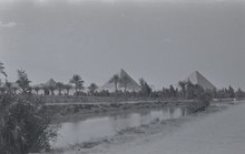 The complex in 1955 Pyramids from afar (2).tif