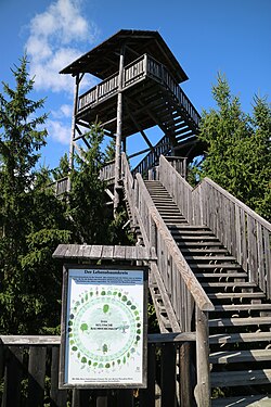 Keltisches Baumhoroskop auf Turm 18