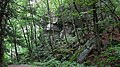 Rattlesnake Gutter Ravine, in Leverett, Massachusetts.