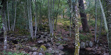 Reserva natural del Valle de Iruelas, Castilla y León, Spain (27 August 2017)