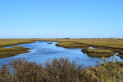 Ria Formosa Natural Park things to do in Faro