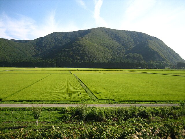 http://upload.wikimedia.org/wikipedia/commons/thumb/e/e9/Rice_Paddies_In_Aizu%2C_Japan.JPG/640px-Rice_Paddies_In_Aizu%2C_Japan.JPG