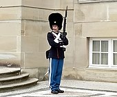 Royal Guard at the Amalienborg Palace, Copenhagen.