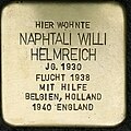 Stolperstein für Naphtali Willi Helmreich (Benesisstraße 38)