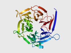 Strictosidin-Synthase (Rauvolfia serpentina)