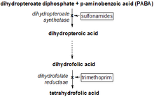 THFsynthesispathway.png