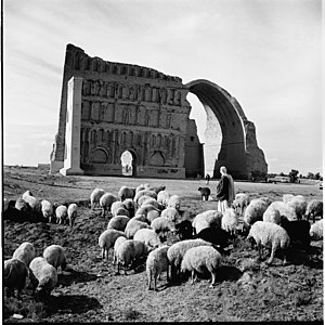 طاق كسرى 1963