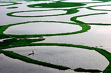 Loktak Lake