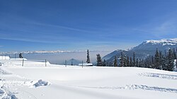 View of snow-capped monutains, Gulmarg