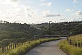 Te Ara ki Uta ki Tai, looking northwards from the Kohimarama Road entrance