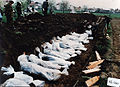 Stradali u okolini Viteza, april 1993.