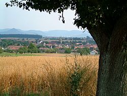 Skyline of Walddorfhäslach