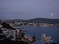 Wellington von der Oriental Bay gesehen