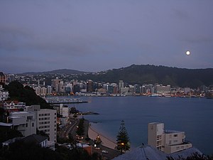 English: View of Wellington Harbour from Orien...