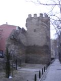Miniatura para Muralla medieval de Zaragoza