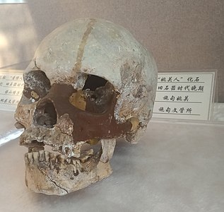 「姚關人」化石，舊石器時代晚期施甸姚關萬仞崗遺址，現藏於保山市博物館