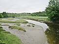 Slikke et schorre à marée basse dans la partie aval du marais de la Goden.