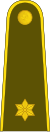 13-Литовская Армия-2LT.svg