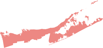 2022 United States House of Representatives Election in New York's 1st Congressional District.svg