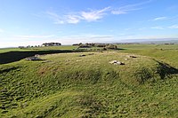 Arbor Low