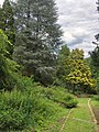 Arboretum Lisičine - staza