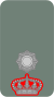 Army-LUX-OF-03.svg