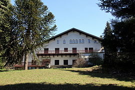 Rosa delle Alpi centre