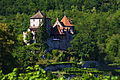 Château de Reichenberg façades, toitures, basse-cour avec corps d'entrée, fossés, murs de fausses-braies, maison en pan-de-bois