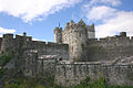 Castle von Cahir